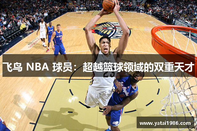 飞鸟 NBA 球员：超越篮球领域的双重天才